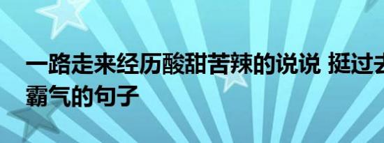 一路走来经历酸甜苦辣的说说 挺过去熬过去霸气的句子