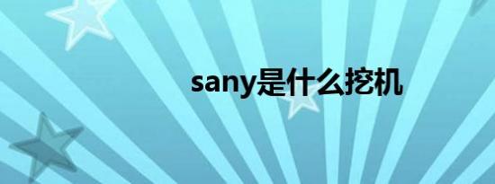 sany是什么挖机