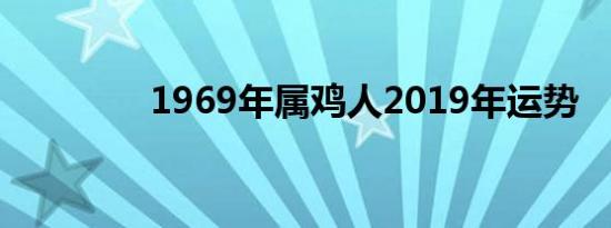 1969年属鸡人2019年运势