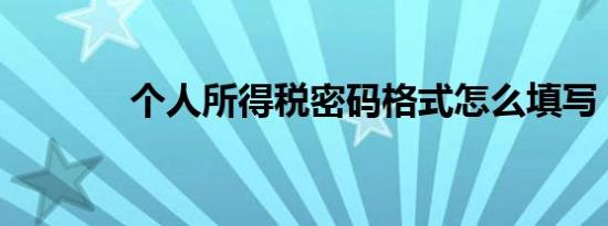 个人所得税密码格式怎么填写