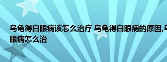 乌龟得白眼病该怎么治疗 乌龟得白眼病的原因,乌龟得了白眼病怎么治 