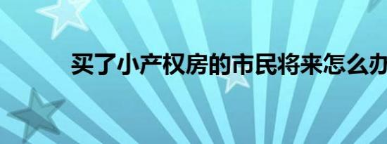 买了小产权房的市民将来怎么办