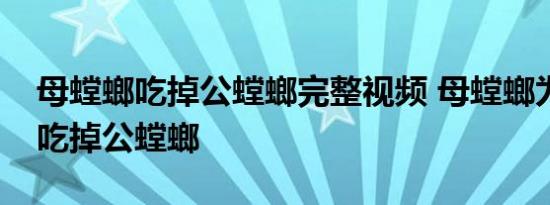 母螳螂吃掉公螳螂完整视频 母螳螂为什么要吃掉公螳螂 