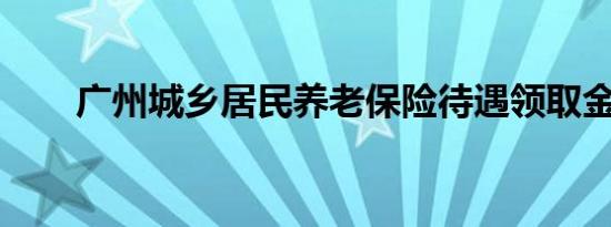 广州城乡居民养老保险待遇领取金额