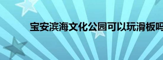 宝安滨海文化公园可以玩滑板吗