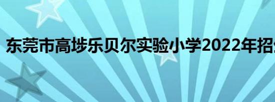 东莞市高埗乐贝尔实验小学2022年招生简章