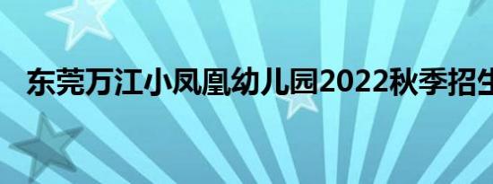 东莞万江小凤凰幼儿园2022秋季招生细则