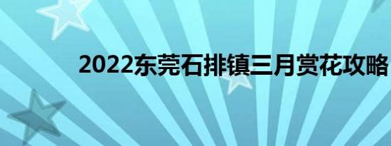 2022东莞石排镇三月赏花攻略