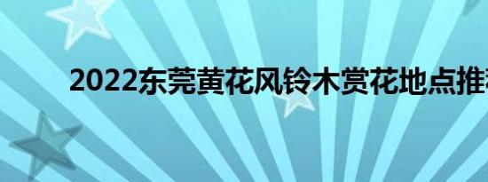 2022东莞黄花风铃木赏花地点推荐