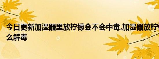 今日更新加湿器里放柠檬会不会中毒,加湿器放柠檬中毒要怎么解毒