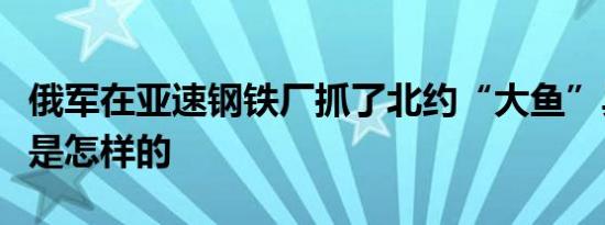 俄军在亚速钢铁厂抓了北约“大鱼”具体情况是怎样的