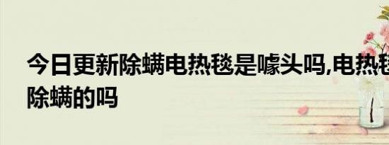 今日更新除螨电热毯是噱头吗,电热毯需要买除螨的吗