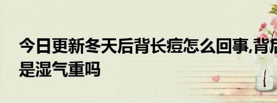 今日更新冬天后背长痘怎么回事,背后长痘痘是湿气重吗