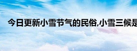 今日更新小雪节气的民俗,小雪三候是什么