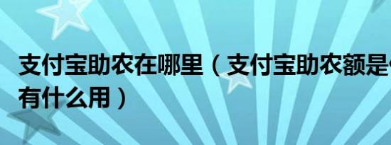 支付宝助农在哪里（支付宝助农额是什么意思有什么用）