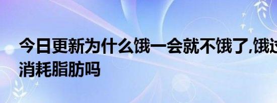 今日更新为什么饿一会就不饿了,饿过劲了会消耗脂肪吗