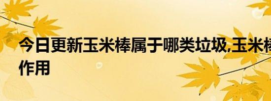 今日更新玉米棒属于哪类垃圾,玉米棒有哪些作用