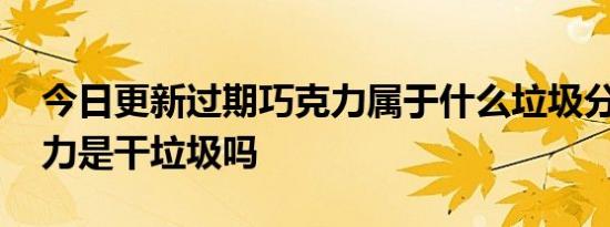 今日更新过期巧克力属于什么垃圾分类,巧克力是干垃圾吗