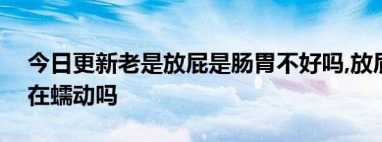 今日更新老是放屁是肠胃不好吗,放屁是肠胃在蠕动吗