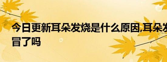 今日更新耳朵发烧是什么原因,耳朵发烧是感冒了吗