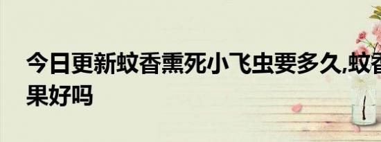 今日更新蚊香熏死小飞虫要多久,蚊香杀虫效果好吗