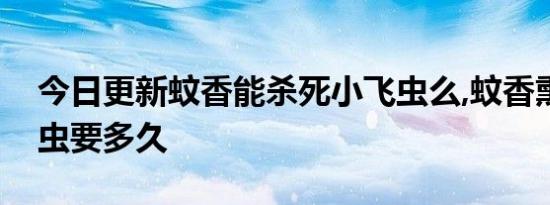 今日更新蚊香能杀死小飞虫么,蚊香熏死小飞虫要多久