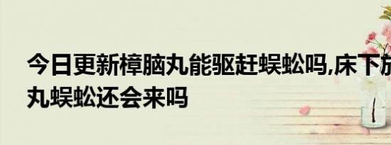 今日更新樟脑丸能驱赶蜈蚣吗,床下放了樟脑丸蜈蚣还会来吗