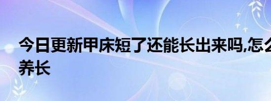 今日更新甲床短了还能长出来吗,怎么把甲床养长