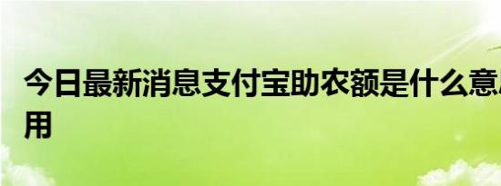 今日最新消息支付宝助农额是什么意思有什么用