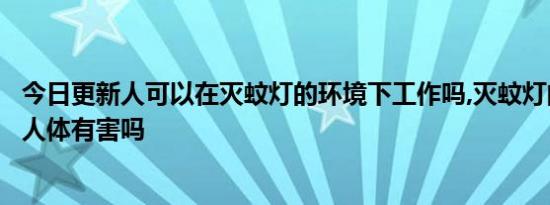 今日更新人可以在灭蚊灯的环境下工作吗,灭蚊灯的紫色光对人体有害吗