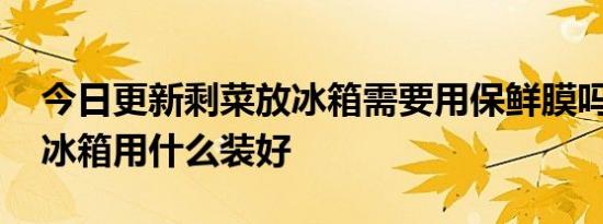 今日更新剩菜放冰箱需要用保鲜膜吗,剩菜放冰箱用什么装好