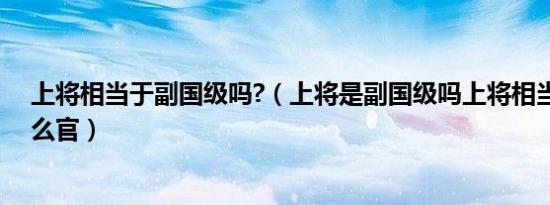 上将相当于副国级吗?（上将是副国级吗上将相当于政府什么官）