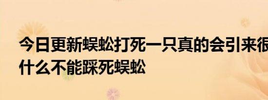 今日更新蜈蚣打死一只真的会引来很多吗,为什么不能踩死蜈蚣