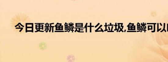 今日更新鱼鳞是什么垃圾,鱼鳞可以吃吗