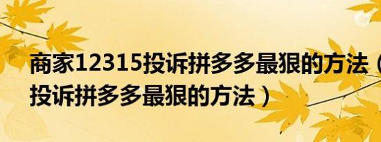 商家12315投诉拼多多最狠的方法（12315投诉拼多多最狠的方法）