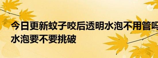 今日更新蚊子咬后透明水泡不用管吗,蚊子包水泡要不要挑破