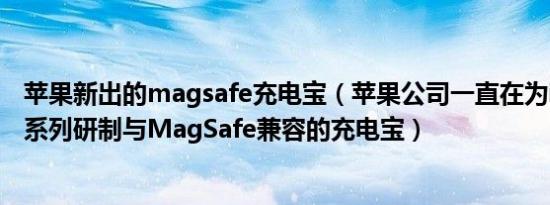 苹果新出的magsafe充电宝（苹果公司一直在为iPhone 12系列研制与MagSafe兼容的充电宝）