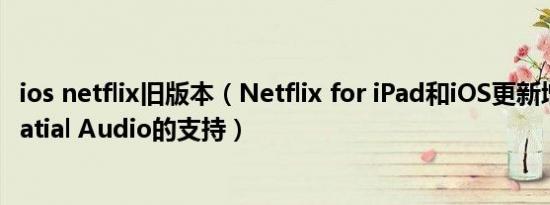 ios netflix旧版本（Netflix for iPad和iOS更新增加了对Spatial Audio的支持）