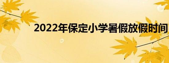 2022年保定小学暑假放假时间