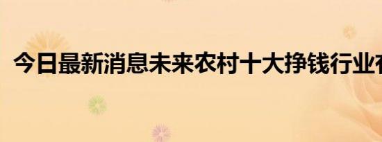 今日最新消息未来农村十大挣钱行业有哪些