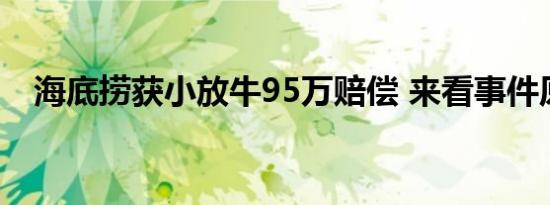 海底捞获小放牛95万赔偿 来看事件原委！