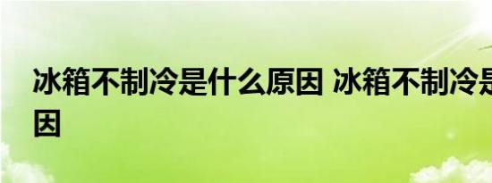 冰箱不制冷是什么原因 冰箱不制冷是什么原因 