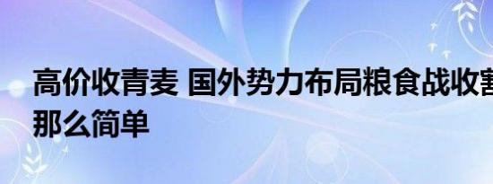 高价收青麦 国外势力布局粮食战收割事件没那么简单