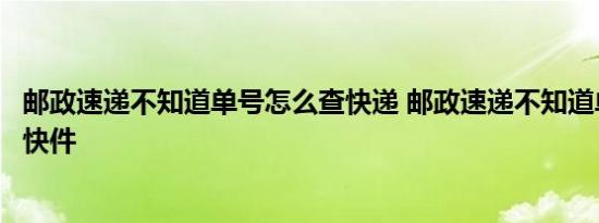 邮政速递不知道单号怎么查快递 邮政速递不知道单号怎么查快件 