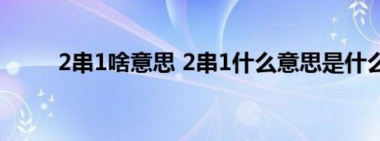 2串1啥意思 2串1什么意思是什么 