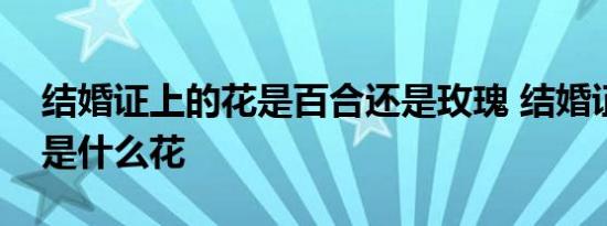 结婚证上的花是百合还是玫瑰 结婚证上的花是什么花 