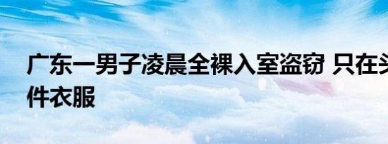 广东一男子凌晨全裸入室盗窃 只在头上顶了件衣服