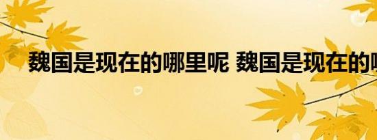 魏国是现在的哪里呢 魏国是现在的哪里 