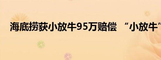 海底捞获小放牛95万赔偿 “小放牛”服！