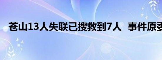 苍山13人失联已搜救到7人  事件原委披露